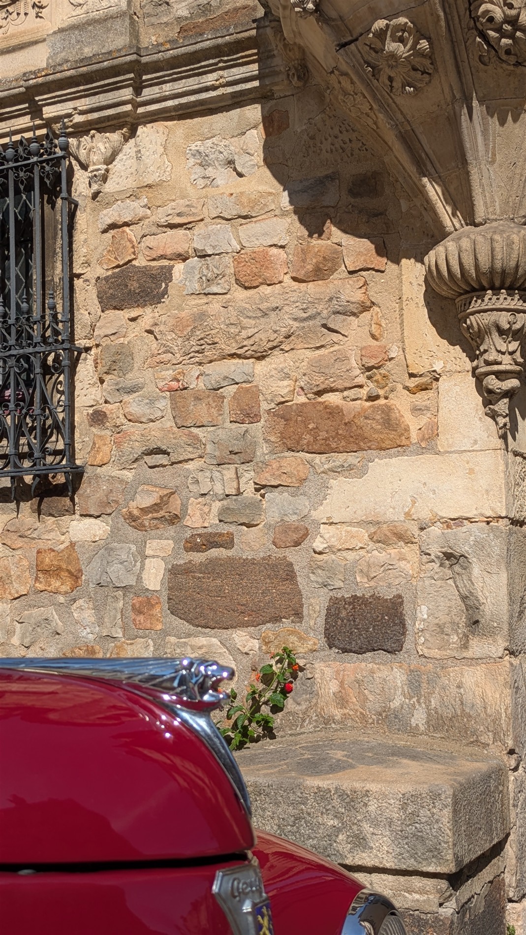 Peugeot 203 découvrable vue de profil